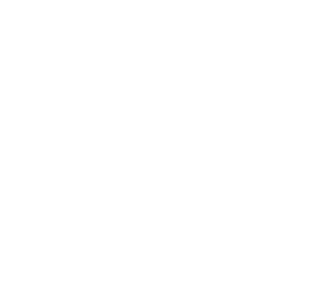 steiner10 brobygning